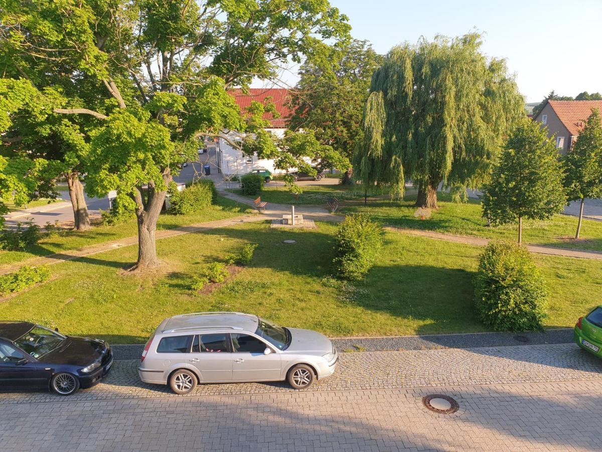 Ganze Ferienwohnung 5 Km Von Erfurt, Mit Kaffeevollautomat, Tv, Wlan, Boxspringbett, Schlafsofa Und Einkaufsmoeglichkeiten, Sehr Gute Anbindung Zur A71 Und A4, Kostenloser Oeff Parkplatz Fuer Pkw Und Transporter Elxleben Экстерьер фото